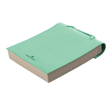 Load image into Gallery viewer, Color 'Pistachio Leather'