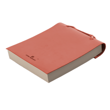 Load image into Gallery viewer, Color 'Salmon Leather'