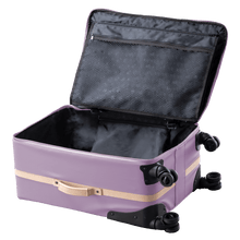 Load image into Gallery viewer, Color 'Lilac Coated Canvas'