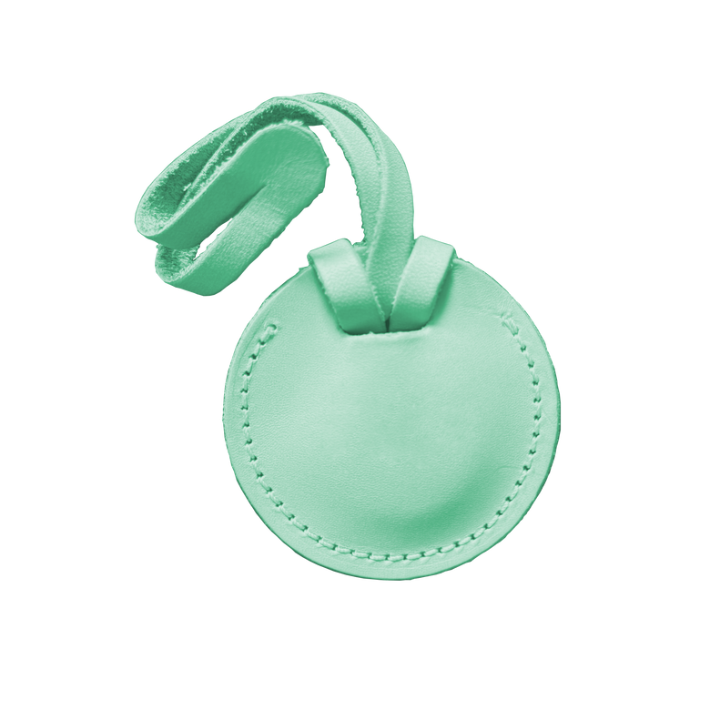 Color 'Pistachio Leather'