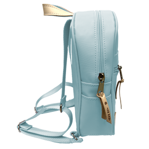 Color 'Ice Blue Coated Canvas'