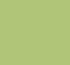 Lime Coated Canvas