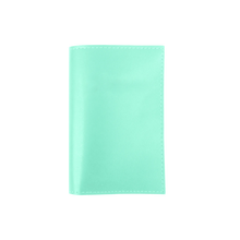 Load image into Gallery viewer, Passport Cover - Pistachio Leather Front Angle in Color &#39;Pistachio Leather&#39;
